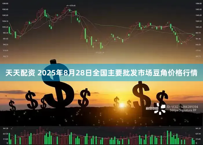 天天配资 2025年8月28日全国主要批发市场豆角价格行情